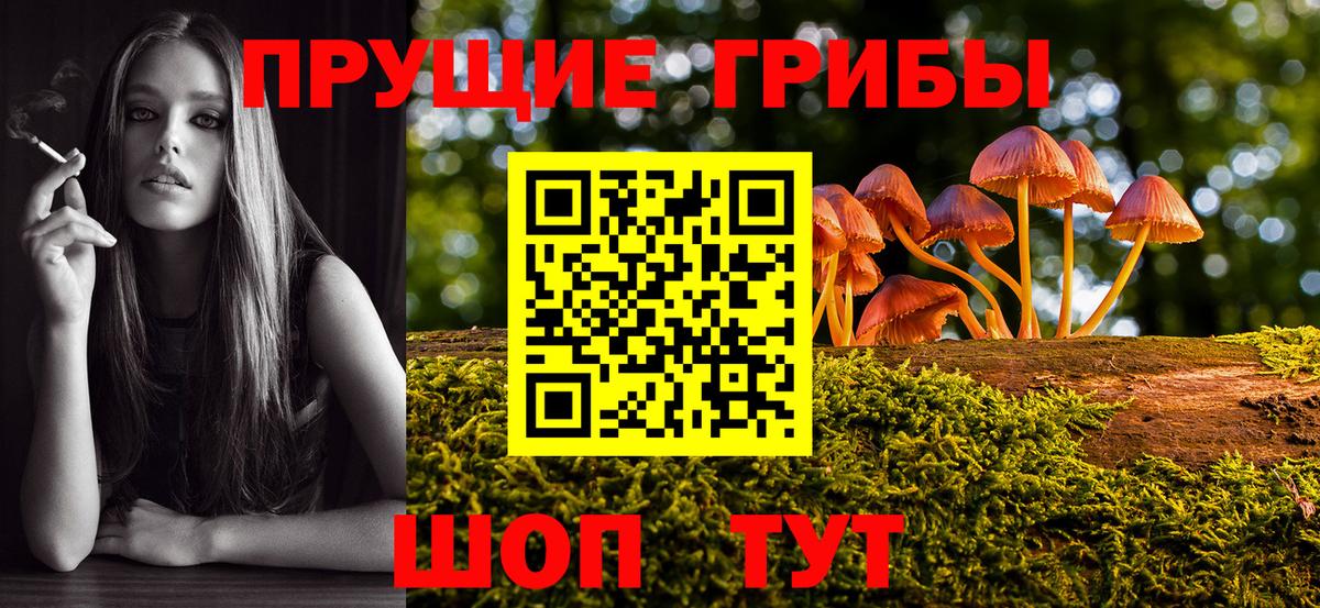 Похвистнево  Галлюциногенные грибы GOLDEN TEACHER  Вход с VPN 